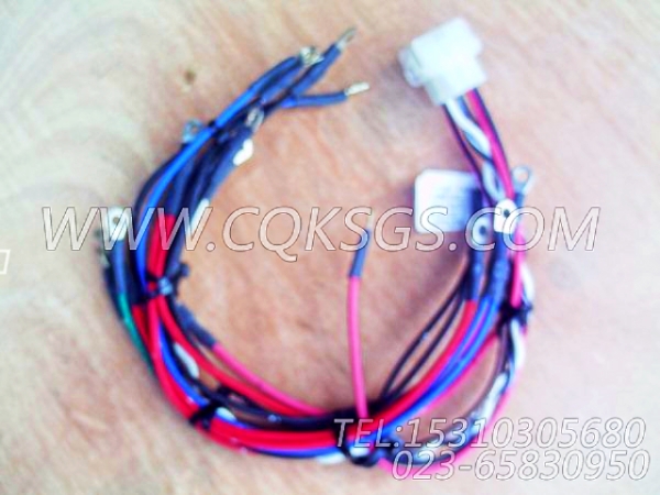 【线束】康明斯CUMMINS柴油机的3071367 线束