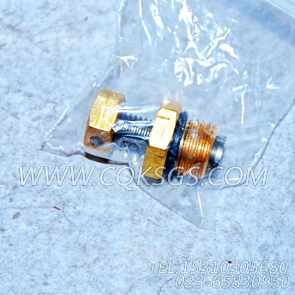 3165832放水开关,用于康明斯NYA855-G4发动机基础件组,【发电机组】配件-1