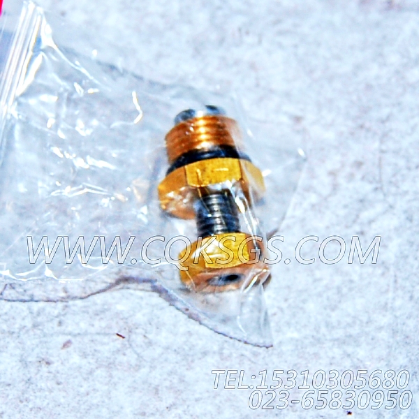 3165832放水开关,用于康明斯NYA855-G4发动机基础件组,【发电机组】配件-0