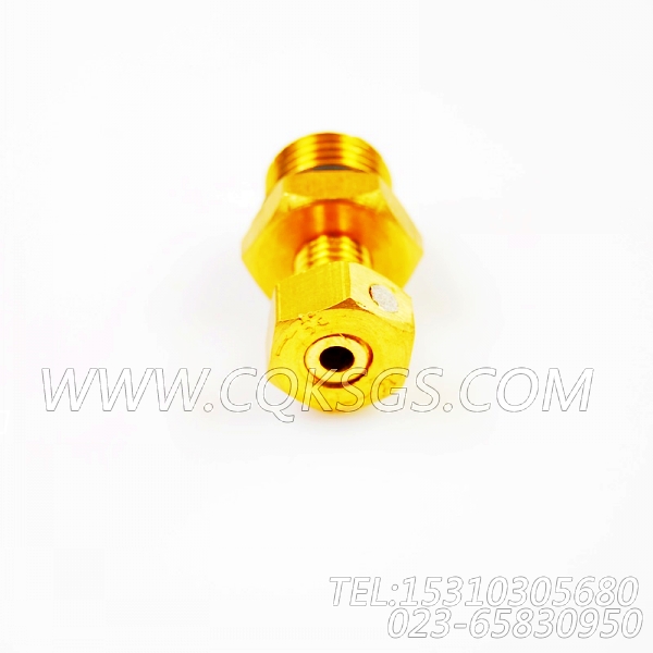 3165832放水开关,用于康明斯NTA855-P425柴油机基础件组,【泥浆泵】配件-2