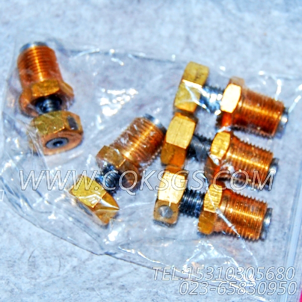 3165998放水开关,用于康明斯KTA19-G4(M)发动机节温器.壳.支架总成组,【抽沙船用】配件-0