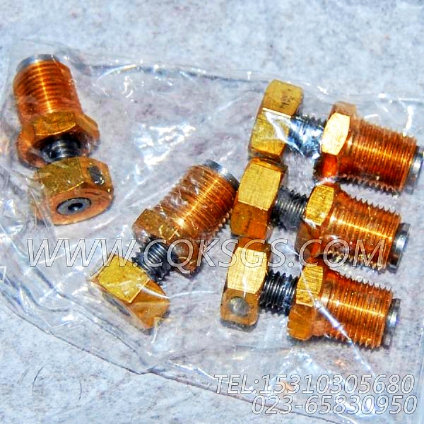 3165998放水开关,用于康明斯KTA19-M640柴油机水管组,【船用】配件-1