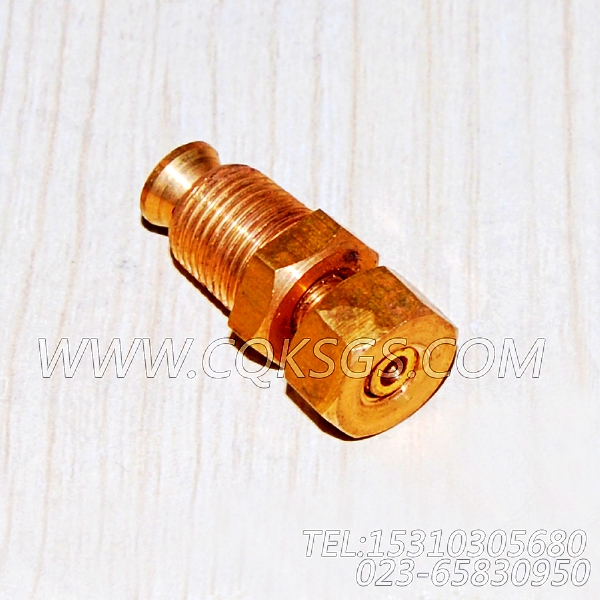 3165998放水开关,用于康明斯KTA19-M500动力水管组,【船舶机械】配件-0