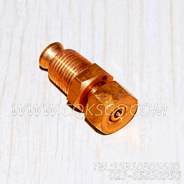 3165998放水开关,用于康明斯KT38-G发动机散件组,【电力】配件-1