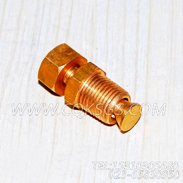 3165998放水开关,用于康明斯KT38-G-500KW柴油机排气管组,【动力电】配件-2
