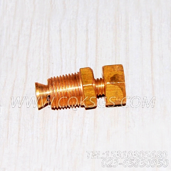 3165998放水开关,用于康明斯KTA19-M550动力节温器.壳.支架总成组,【船用】配件-2