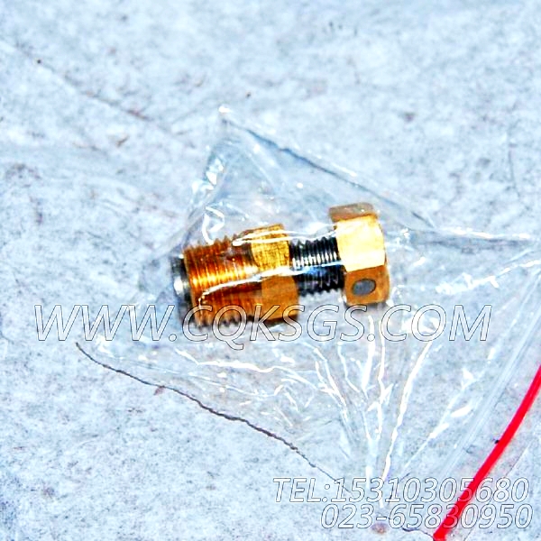3165999放水开关,用于康明斯NT855-P360主机排气管组,【泥浆泵】配件-0