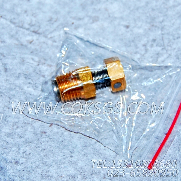 3165999放水开关,用于康明斯NG4主机机油冷却器组,【发电用】配件-0