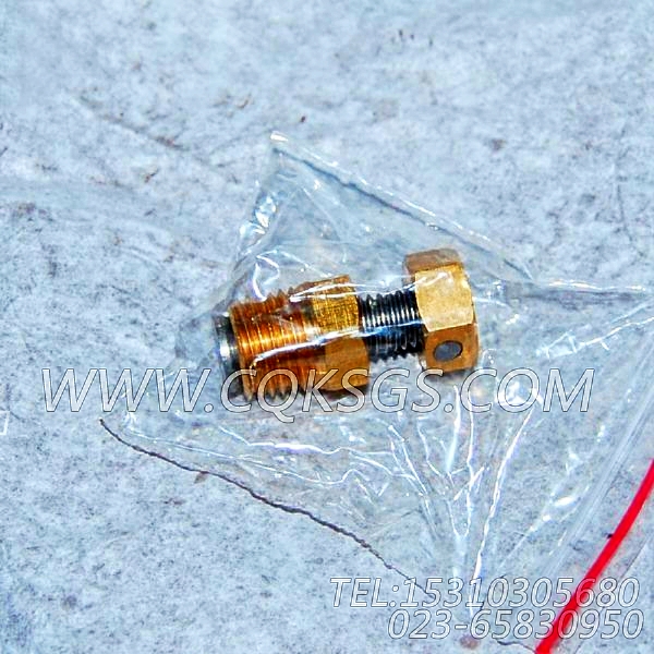 3165999放水开关,用于康明斯NTA855-G2主机热交换器组,【动力电】配件-0