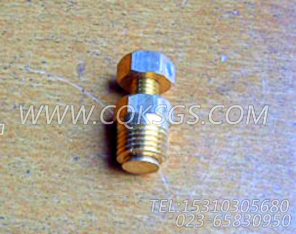 3165999放水开关,用于康明斯NTA855-G2(M)60Hz动力热交换器组,【抽沙船用】配件-1