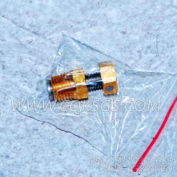 3165999放水开关,用于康明斯KTA19-G2发动机机油冷却器组,【发电用】配件-1