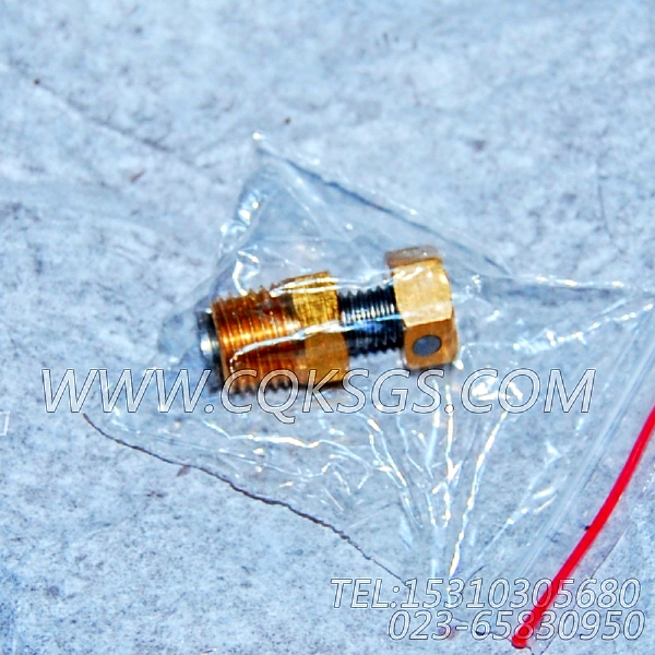 3165999放水开关,用于康明斯KT19-C450主机水加热器管路组,【冷再生机】配件-1