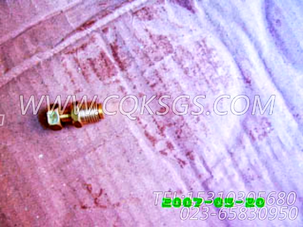 3165999放水开关,用于康明斯NTA855-G2主机热交换器组,【动力电】配件-1