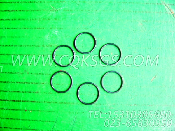 【Ø形密封圈】康明斯CUMMINS柴油机的145505 Ø形密封圈-1