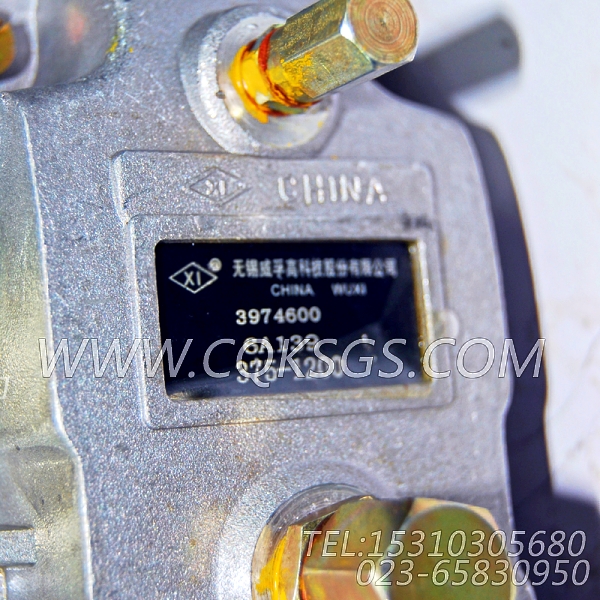 【喷油泵】康明斯CUMMINS柴油机的3974600 喷油泵-2