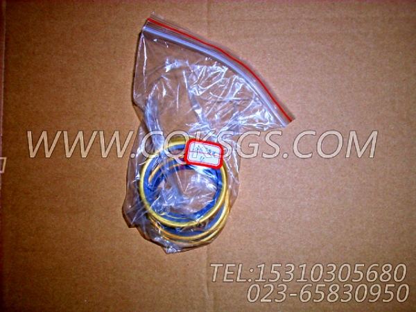 186780节温器密封圈,用于康明斯NTA855-P425发动机出水管联接组,【消防泵】配件-1