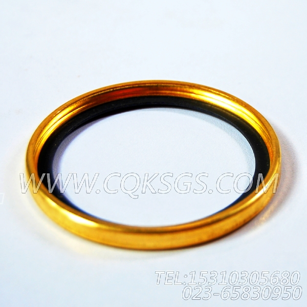 186780节温器密封圈,用于康明斯NTA855-L400发动机出水管联接组,【车用】配件-0