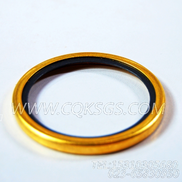 186780节温器密封圈,用于康明斯NT855-M300柴油机出水管联接组,【船舶机械】配件-1