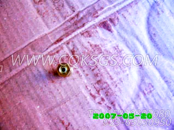 3165999放水开关,用于康明斯KTA19-M500柴油机热交换器组,【船舶】配件-2