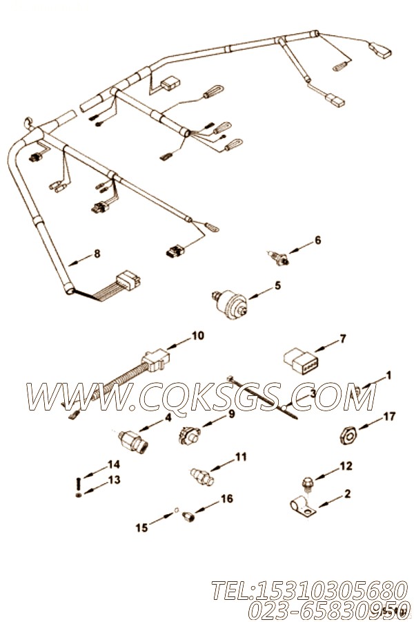 Harness, Wiring