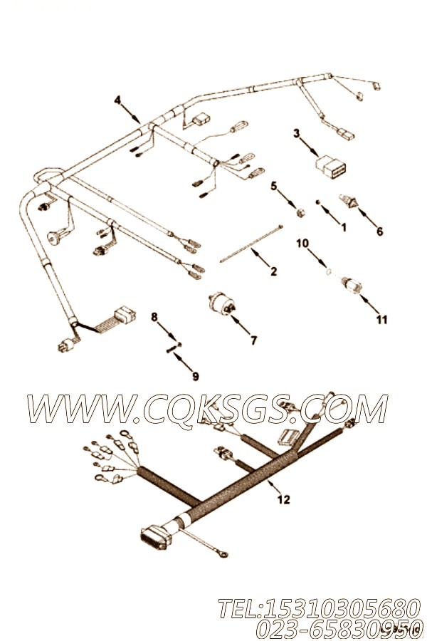 Harness, Wiring