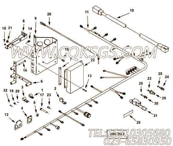 Harness, Wiring