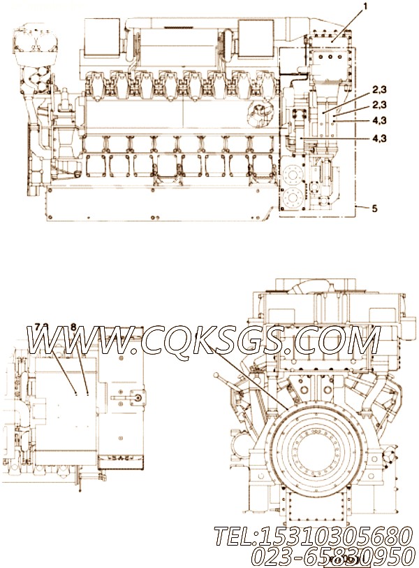 Harness, Wiring