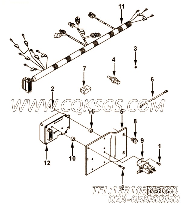 Harness, Wiring