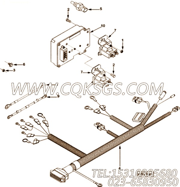 Harness, Wiring