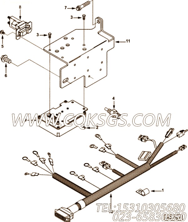 Harness, Wiring