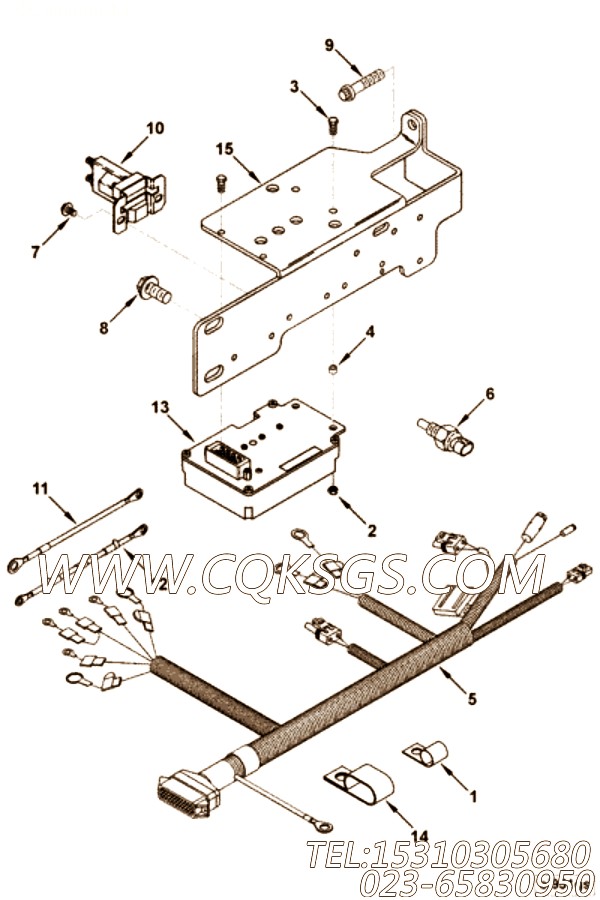 Harness, Wiring
