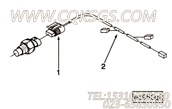 Harness, Wiring