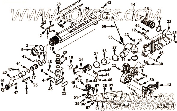 【传感器适配器】康明斯CUMMINS柴油机的3684425 传感器适配器