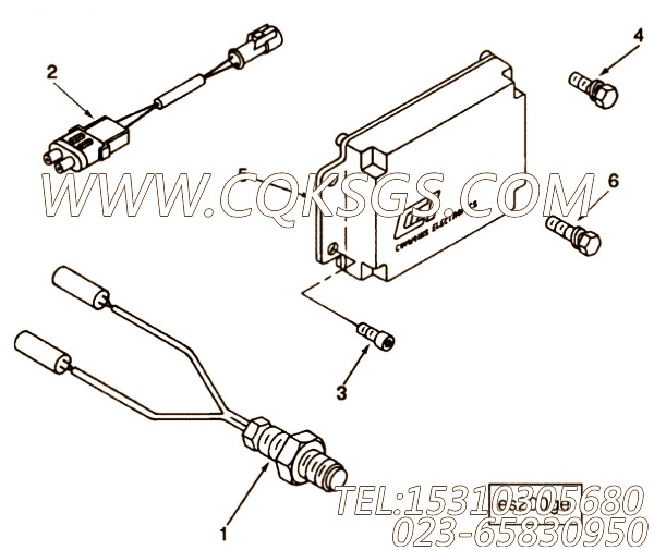 Screw, Socket Head Cap