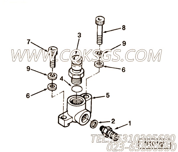 Screw, Socket Head Cap