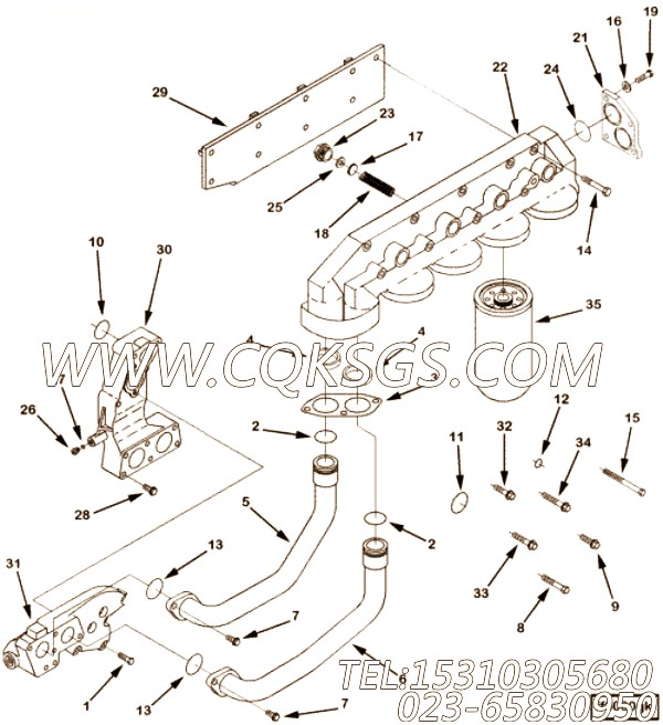 Head, Lub Oil Filter