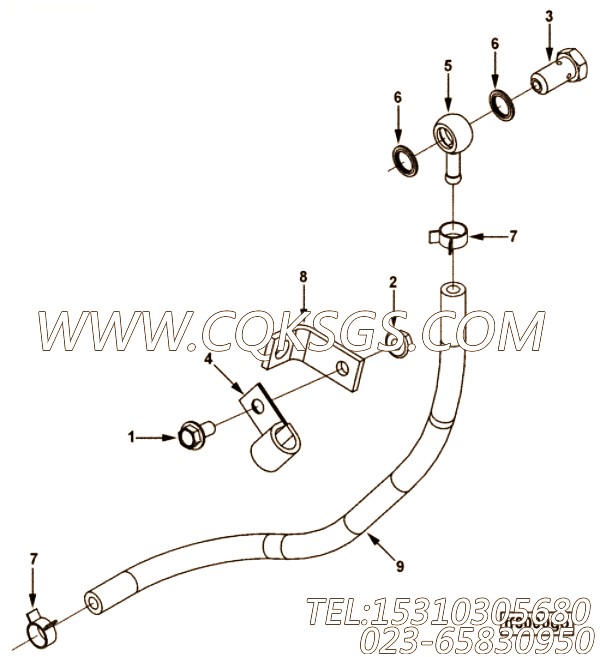 【切面】康明斯CUMMINS柴油机的4944941 切面