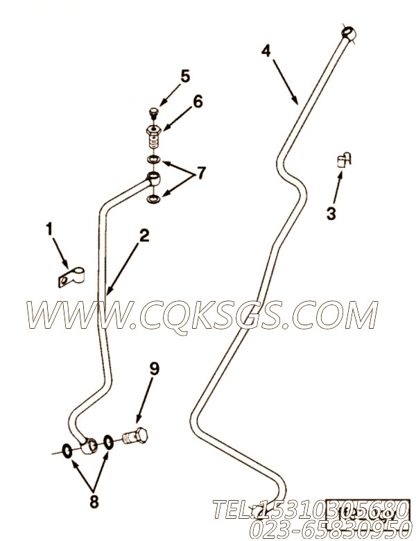【切面】康明斯CUMMINS柴油机的3282226 切面