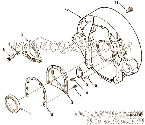 Screw, Self Tapping Metal