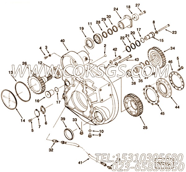 【曲轴齿轮】康明斯CUMMINS柴油机的3862915 曲轴齿轮