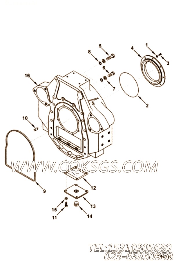 Seal, Rear Oil Crankshaft