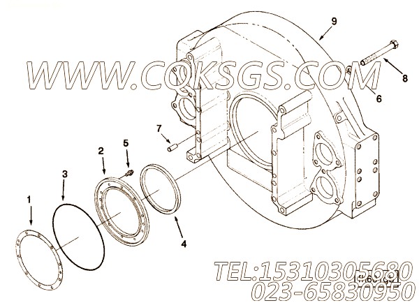 Gskt, Rear Oil Seal Retnr.