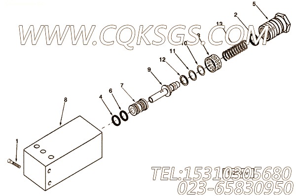 109687VS调速弹簧,用于康明斯NTA855-C310动力燃油泵TLN组,【平地机】配件