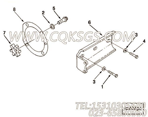Spider, Jaw Coupling