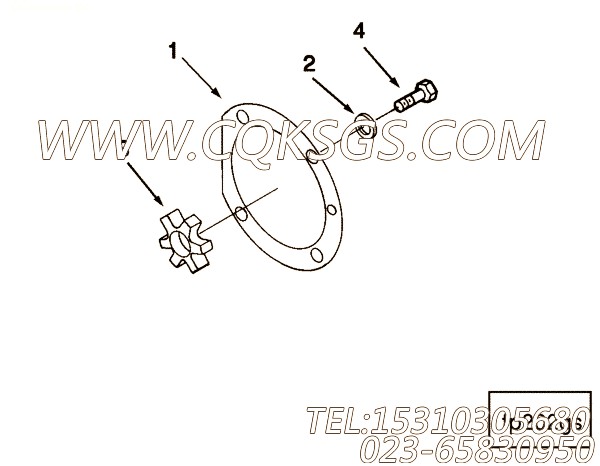 Spider, Jaw Coupling