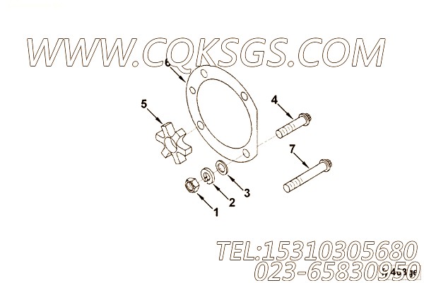 【燃油泵联轴器】康明斯CUMMINS柴油机的4067283 燃油泵联轴器
