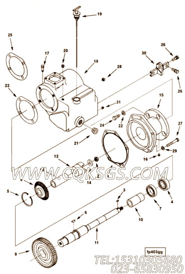 Gasket, Governor