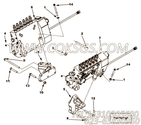 Pump, Fuel Injection