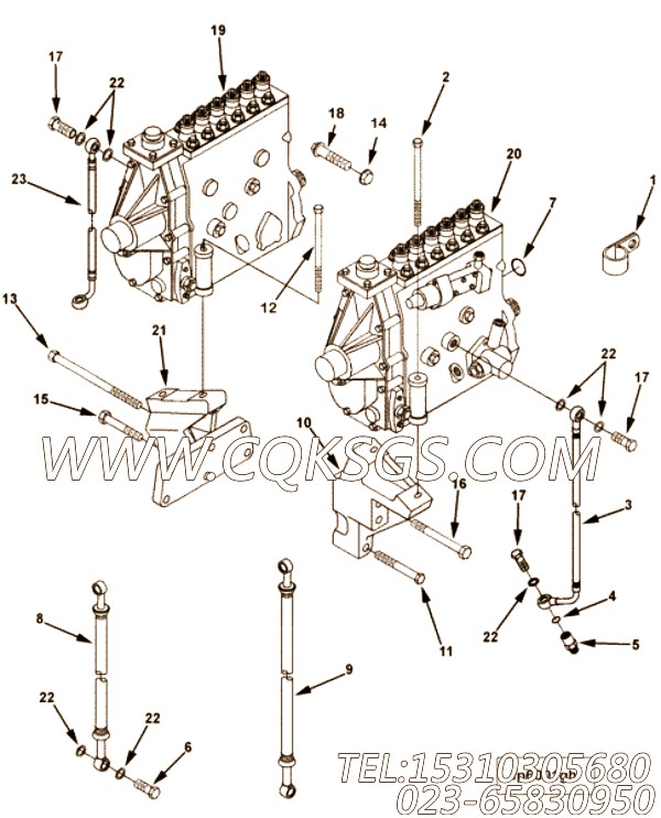 Pump, Fuel Injection