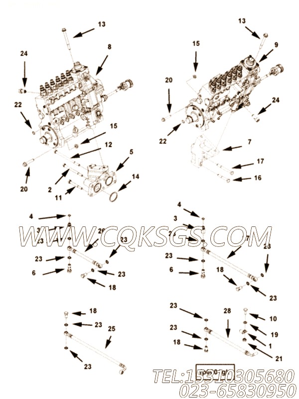 Pump, Fuel Injection